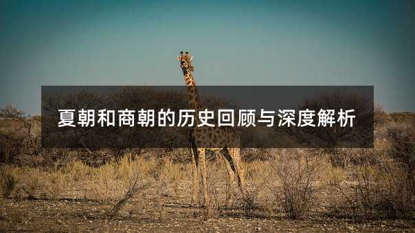 夏朝和商朝的历史回顾与深度解析