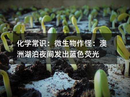 化学常识:微生物作怪:澳洲湖泊夜间发出蓝色荧光