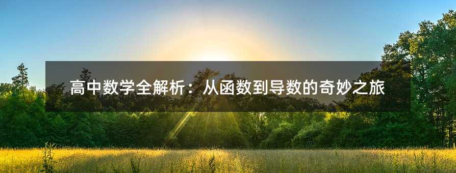 高中数学全解析:从函数到导数的奇妙之旅