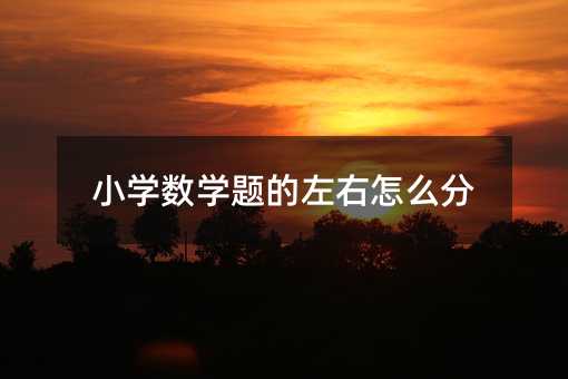 小学数学题的左右怎么分