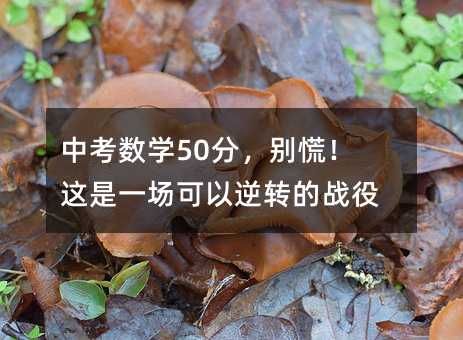 中考数学50分,别慌!这是一场可以逆转的战役