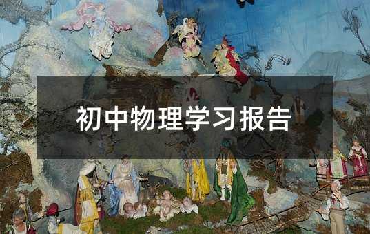 初中物理学习报告
