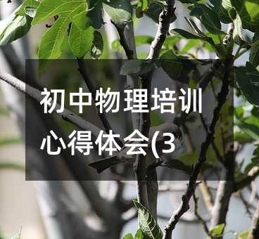 初中物理培训心得体会(3)