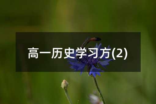 高一历史学习方(2)