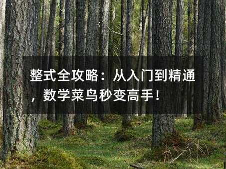 整式全攻略:从入门到精通,数学菜鸟秒变高手!