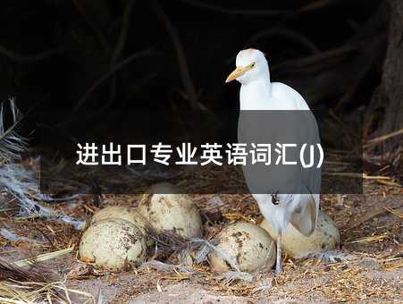 进出口专业英语词汇(J)