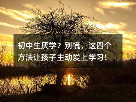 初中生厌学?别慌,这四个方法让孩子主动爱上学习!