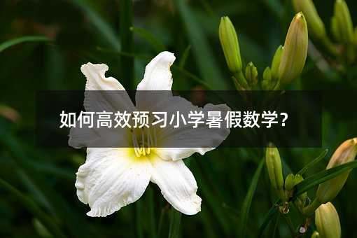 ��θ�ЧԤϰСѧ�����ѧ��