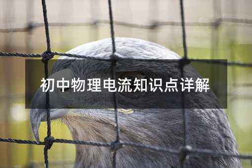 ������������֪ʶ�����