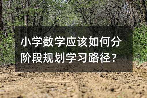 Сѧ��ѧӦ����ηֽ׶ι滮ѧϰ·����