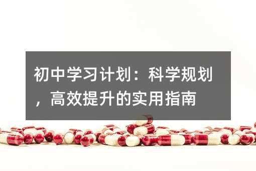 ����ѧϰ�ƻ�����ѧ�滮����Ч������ʵ��ָ��