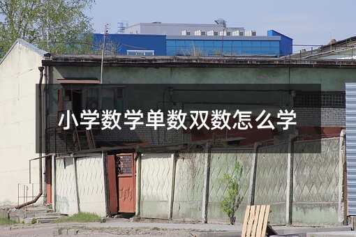 Сѧ��ѧ����˫����ôѧ