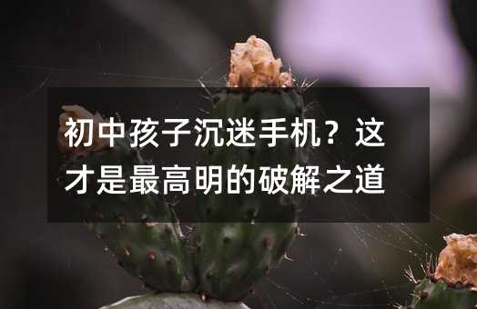���к��ӳ����ֻ����������������ƽ�֮��