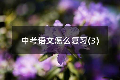 �п�������ô��ϰ(3)