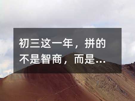 ������һ�꣬ƴ�Ĳ������̣���������