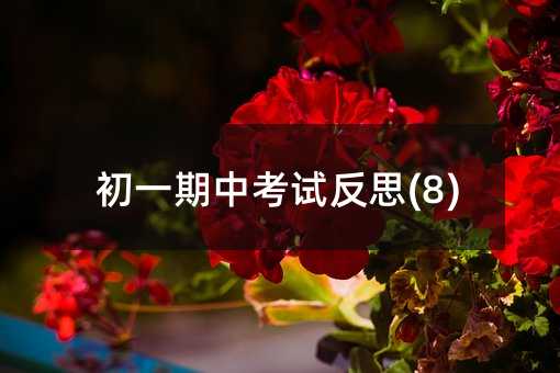 初一期中考试反思(8)