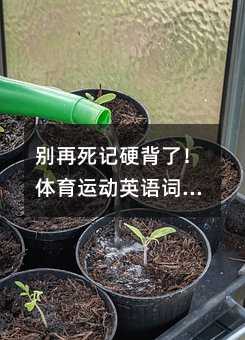 ��������Ӳ���ˣ������˶�Ӣ��ʻ������ǣ��ǵ�������Ȥ