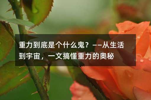 ���������Ǹ�ʲô����������������棬һ�ĸ㶮�����İ���