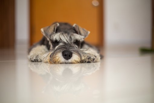 ���ĸ�ϰ�εķ�˼���ø�ϰ��Ϊѧ���ɳ��Ľ���