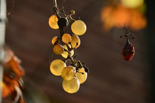 ��һ������ôѧ������ϸ����ġ����ܹ����������㿴�������ĵײ��߼�