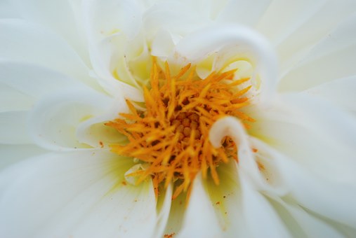 ǳ̸��������ɽ��ˮ