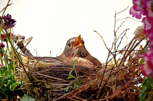 高中的的孩子应该如何教育?