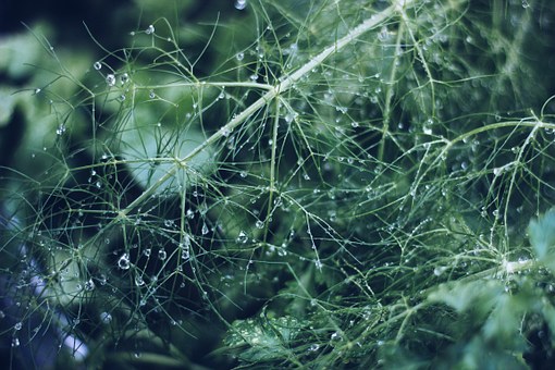 ��һ��ʷ���⼼������Щ