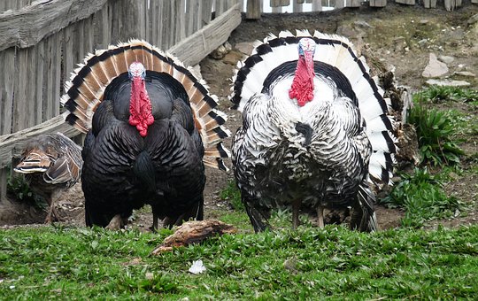 Сѧ�ĺ�����Ҫע����ص������һ����