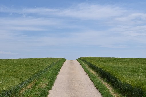 ����6���£��������ܵȣ����������£���������ѡ